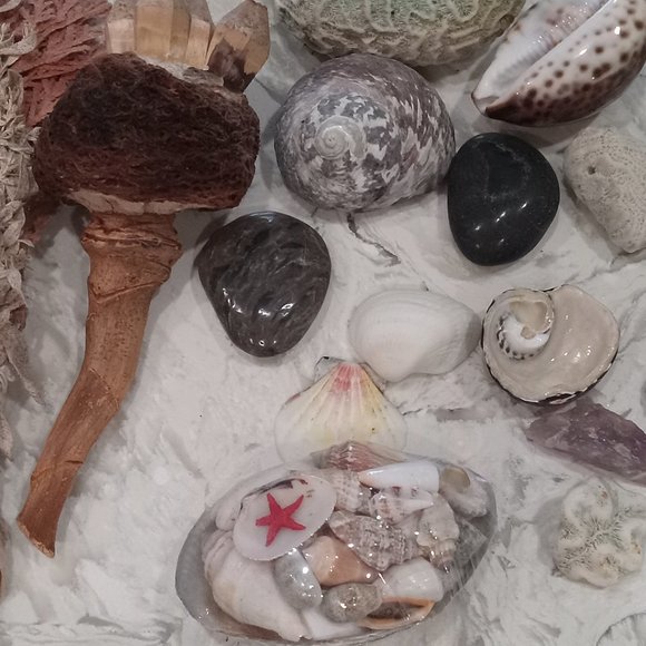 Decoration Home Special Design Including Authentic Smudging Sage - Picture 4 of 8